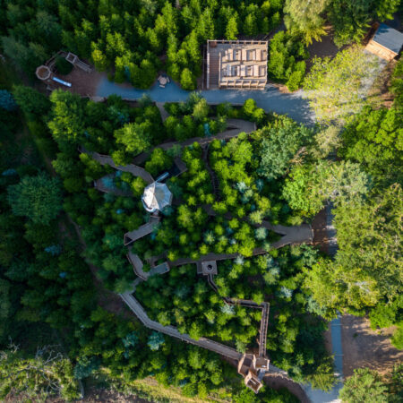 Drone shot of landscaped area