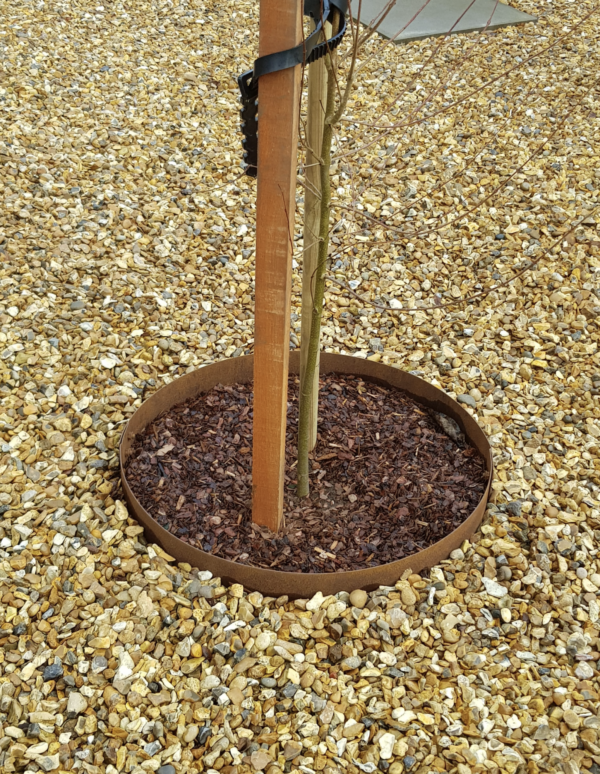 corten steel tree ring