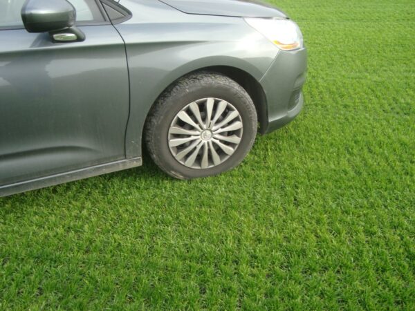 grass parking grid