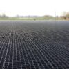 grass parking grid