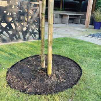 Garden Tree Rings | 600mm | 900mm | 1200mm | Galvanised, Black, Brown ...