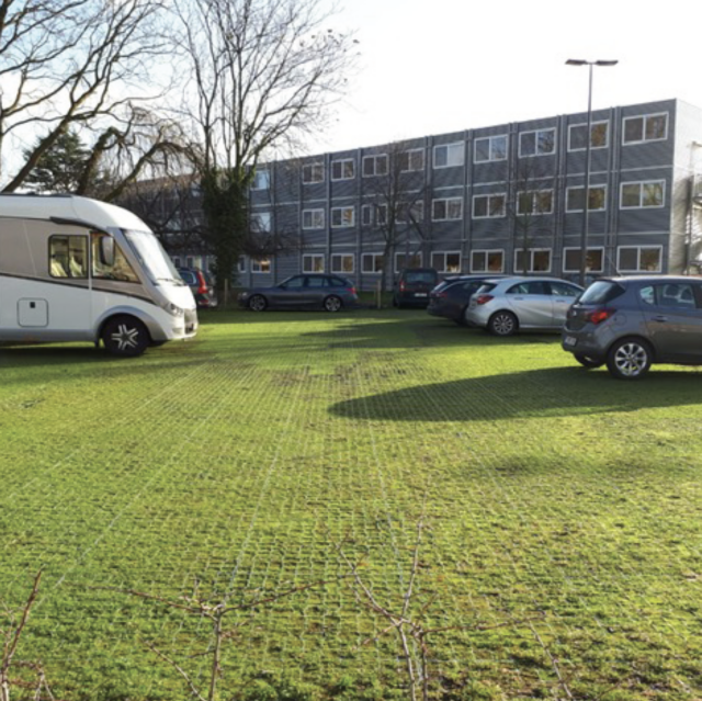 Grass Parking with Grid