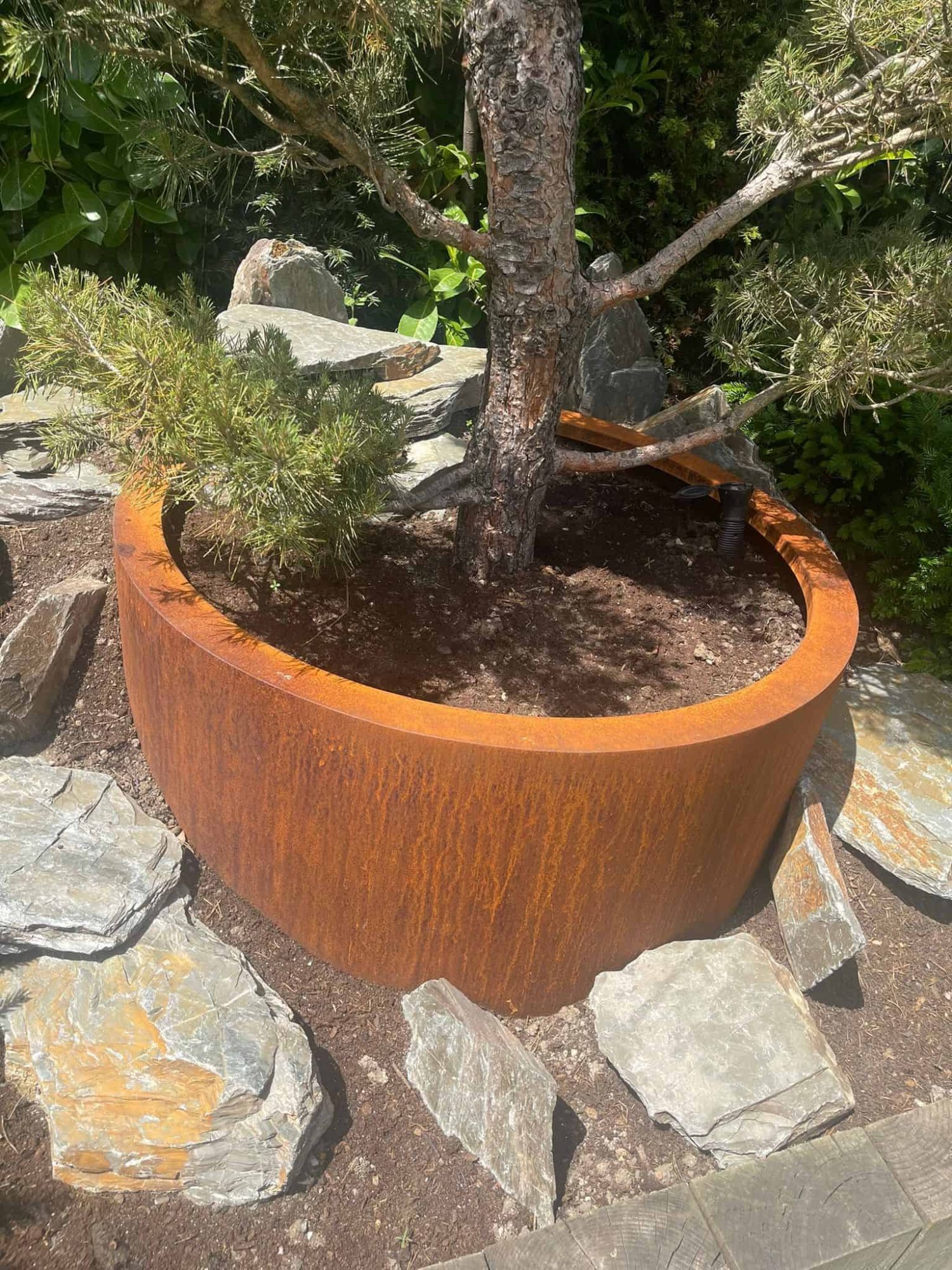 Henley Cylindrical Planter - Mild Steel or Corten – Multiple Sizes - Image 5