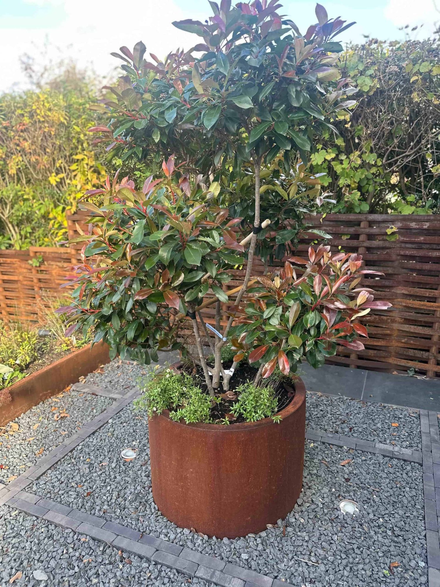 Henley Cylindrical Planter - Mild Steel or Corten – Multiple Sizes - Image 4