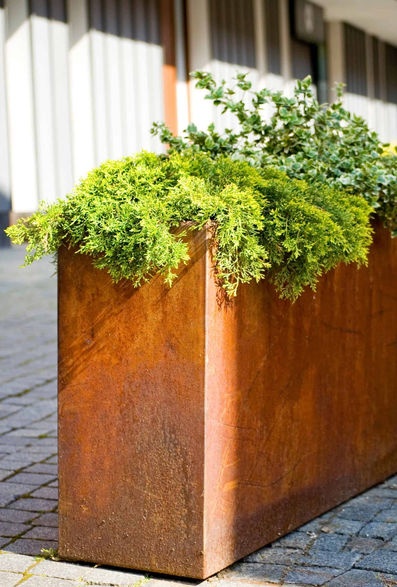 Arden Trough Planter - Mild Steel or Corten - Multiple Sizes - Image 4