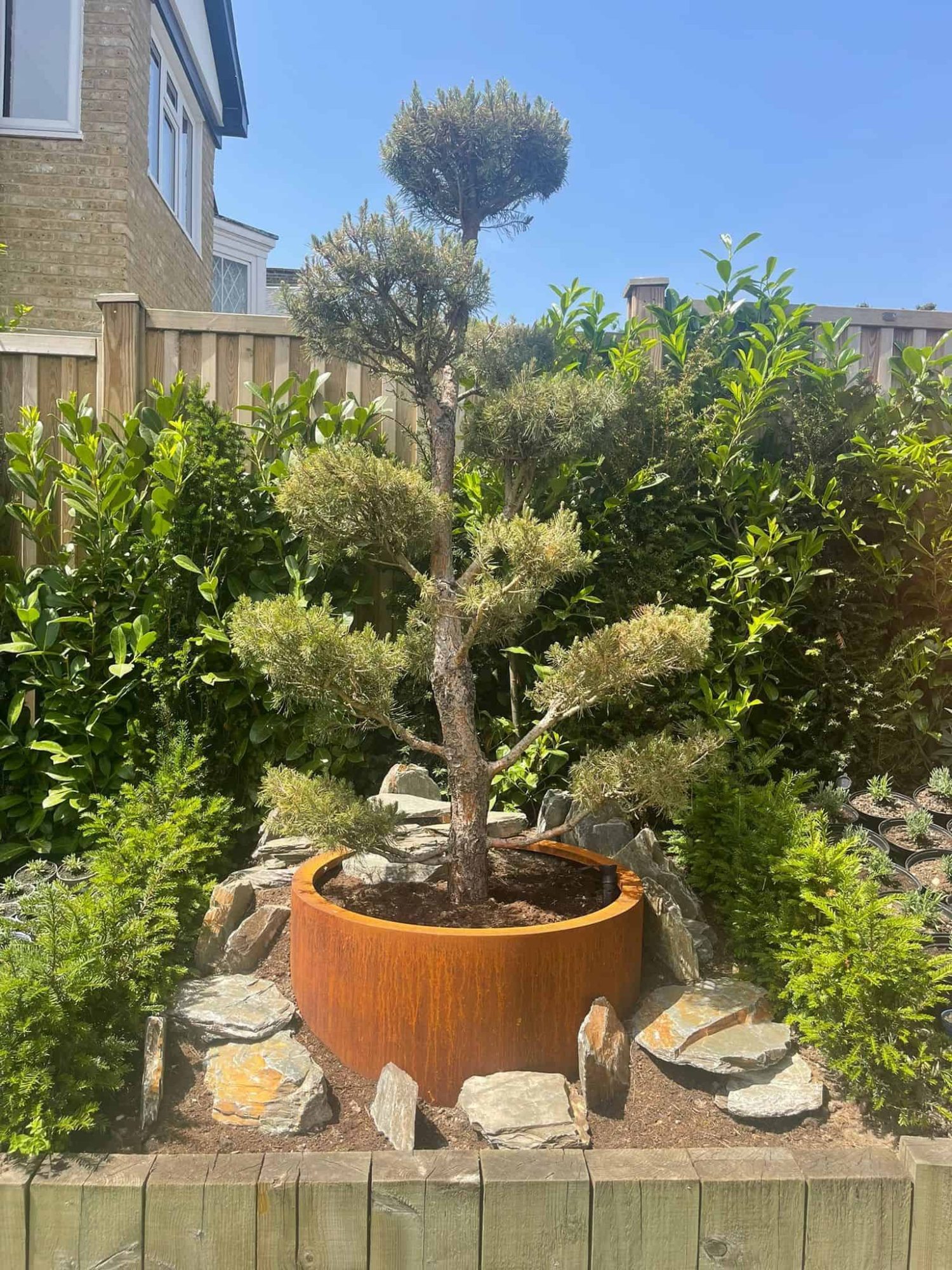 Henley Cylindrical Planter - Mild Steel or Corten – Multiple Sizes - Image 2
