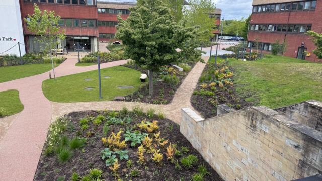 Daytime view of the paths, lawns and planted beds at Booths Park courtyard.