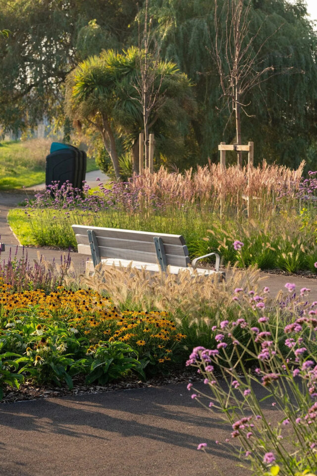 Finished planting and a bench beside the park’s footpaths.