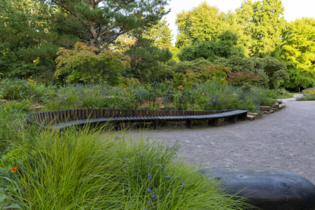 Gravel paths and planting in Garden for the Future at Sheffield Park.