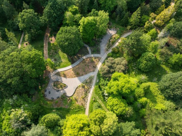 Aerial view of Garden for the Future within Sheffield Park’s established trees.