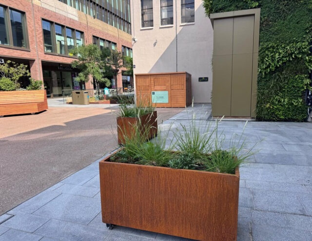 Detail of planting in a Corten CORE PLANTER at Stamford Square.
