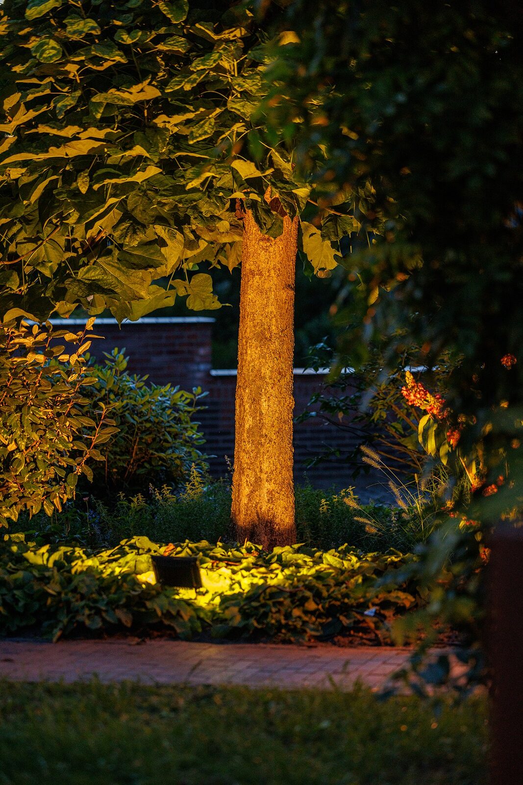 High-Power Garden Spotlight – Lightpro Avior - Image 2