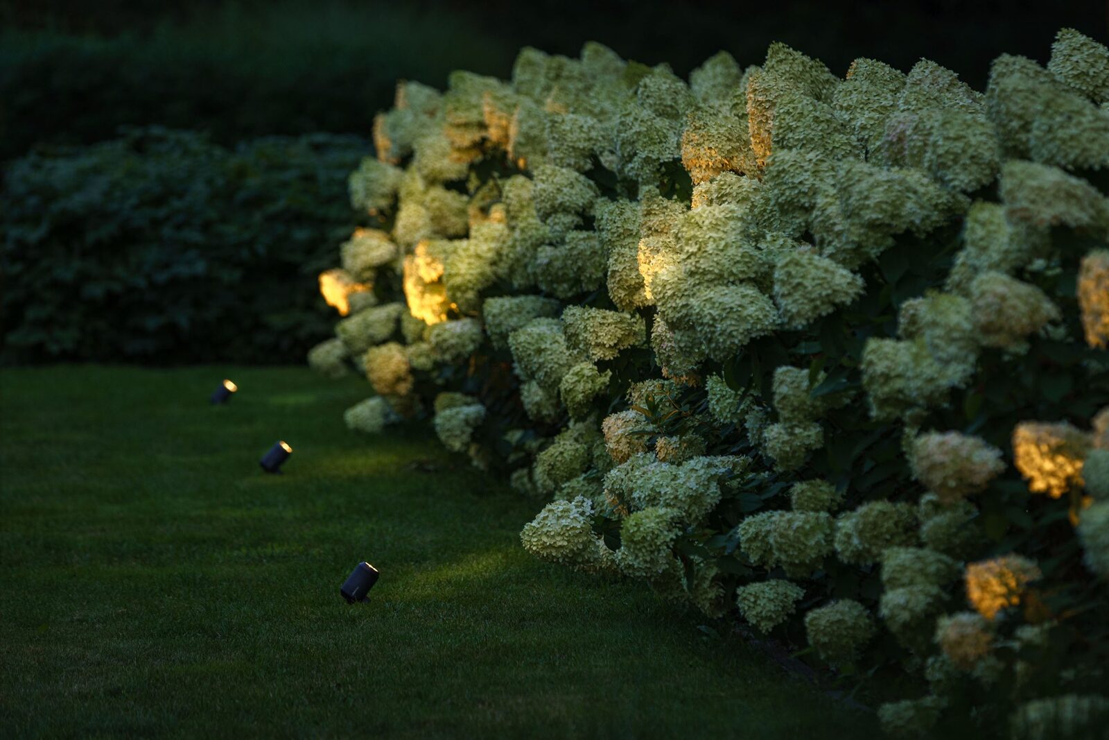 Garden Spike Spotlight – Lightpro Castor 4 - Image 3