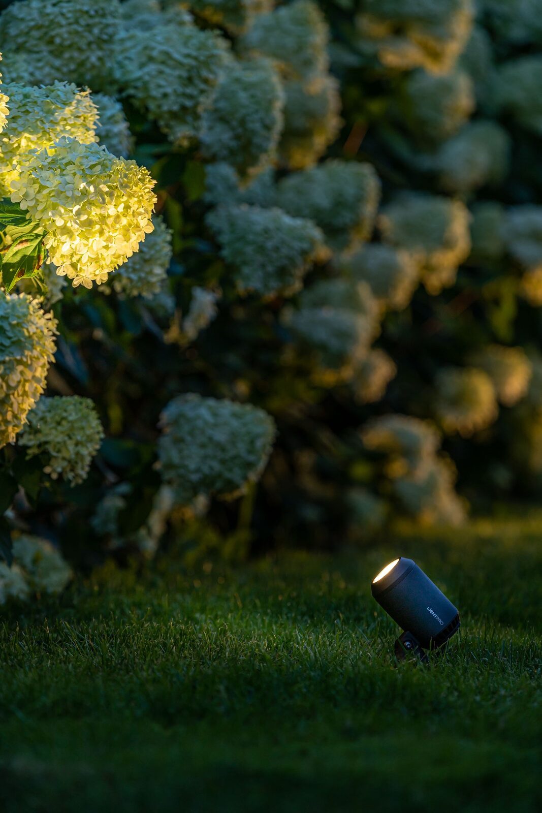 Garden Spike Spotlight – Lightpro Castor 4 - Image 4