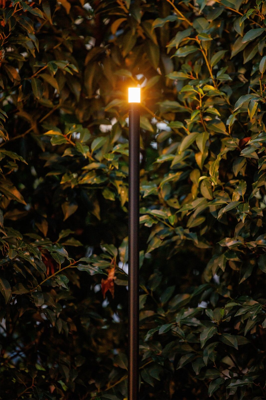 Garden Post Light – Lightpro Erba Mid - Image 2