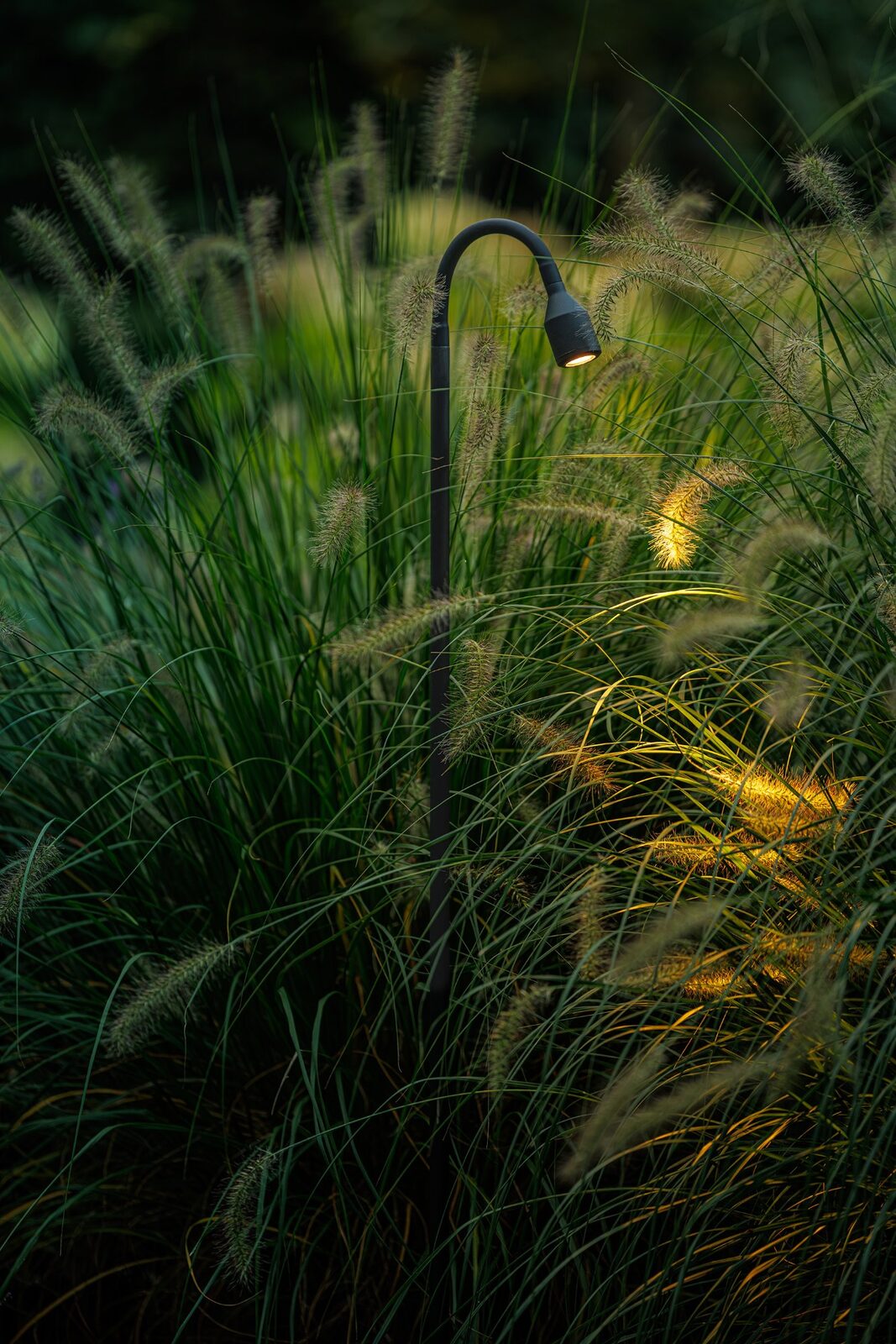 Tall Flexible Garden Spotlight – Lightpro Xible Hi - Image 2