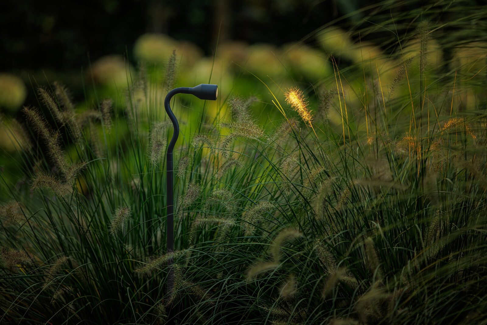 Tall Flexible Garden Spotlight – Lightpro Xible Hi - Image 3
