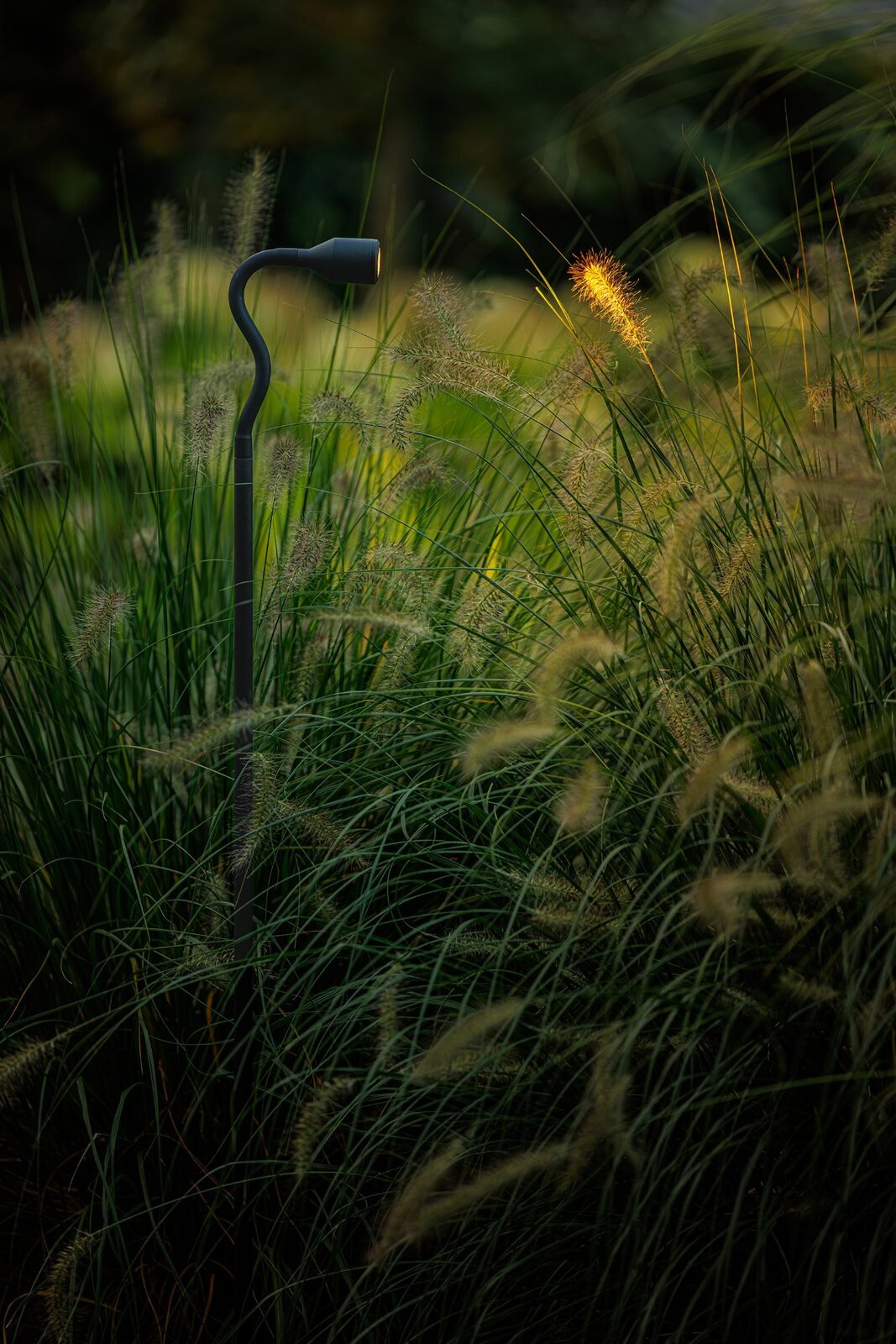 Tall Flexible Garden Spotlight – Lightpro Xible Hi - Image 4